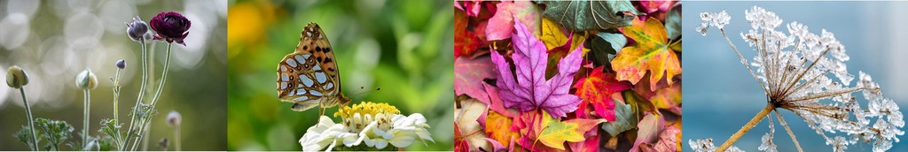 saisons-seances-diapasons