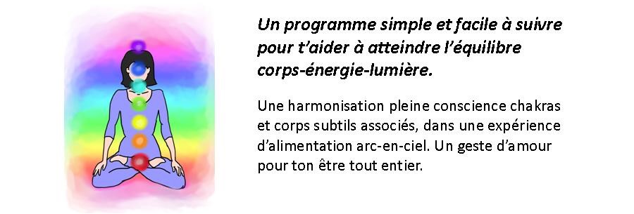 smoothies-chakras-01