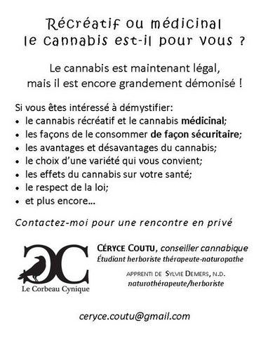 flyer-cannabis-corbeau-cynique