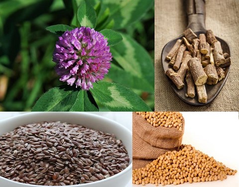 plantes-menopause