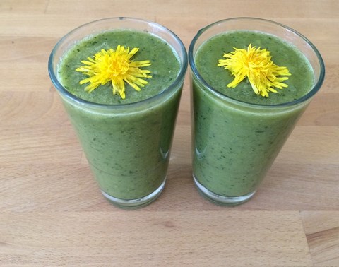 smoothie-pissenlit