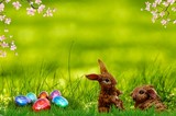 oeufs-et-lapins-paques